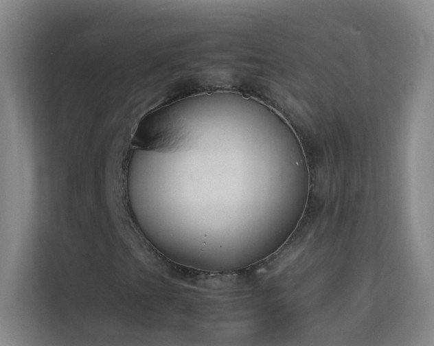 X0000113871201200909241325
