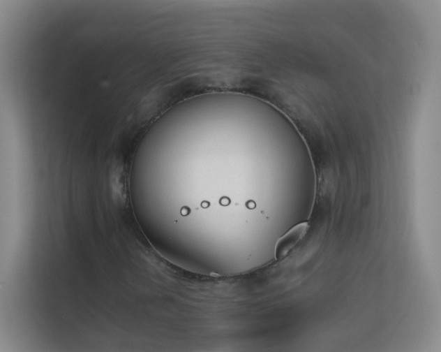X0000113871202200909241325