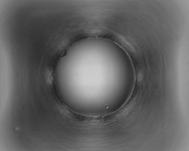 X0000113871204200909241325