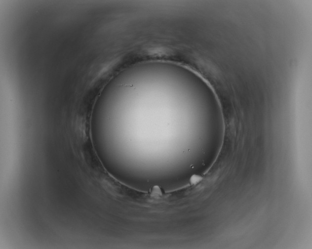 X0000113871205200909241325
