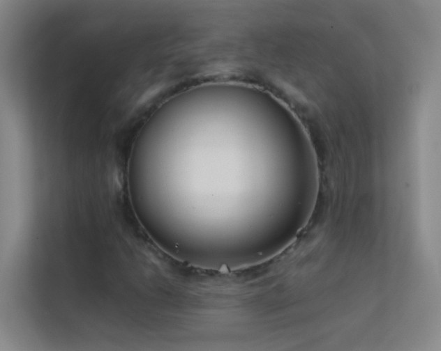X0000113871206200909241325