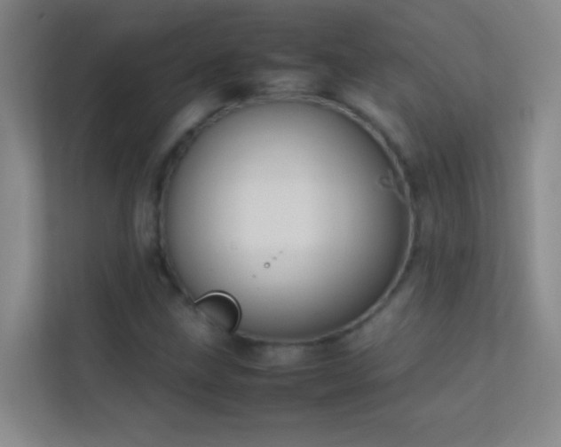 X0000113871211200909241325
