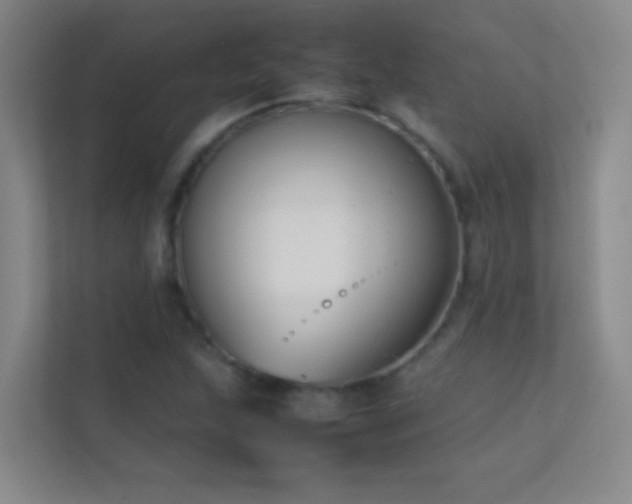 X0000113871215200909241325