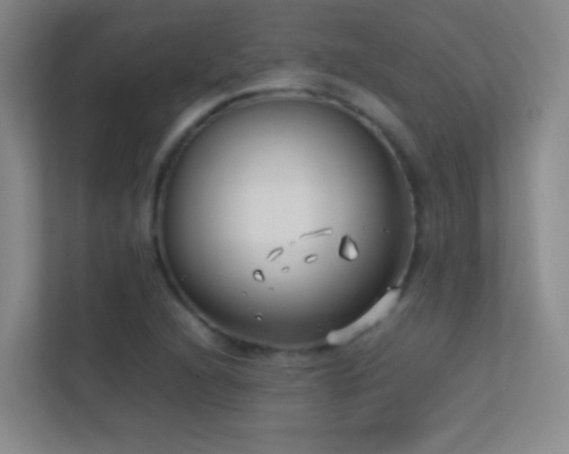 X0000113871216200909241325