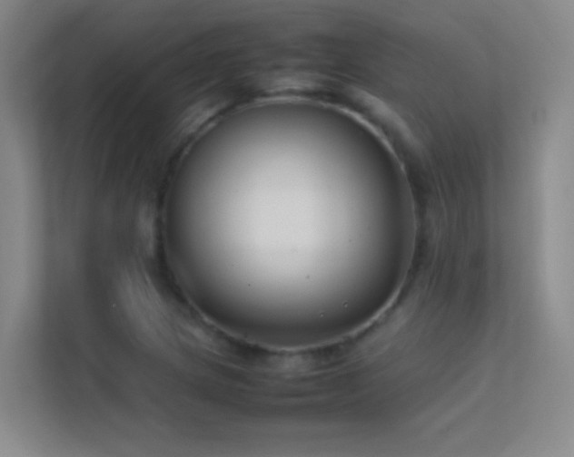 X0000113871217200909241325