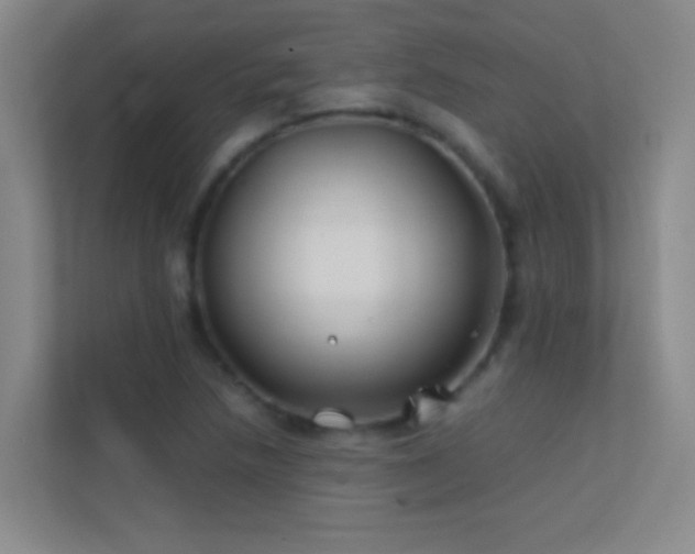 X0000113871218200909241325