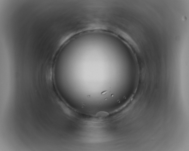 X0000113871220200909241325