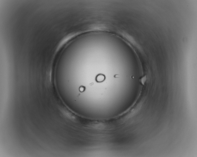 X0000113871222200909241325