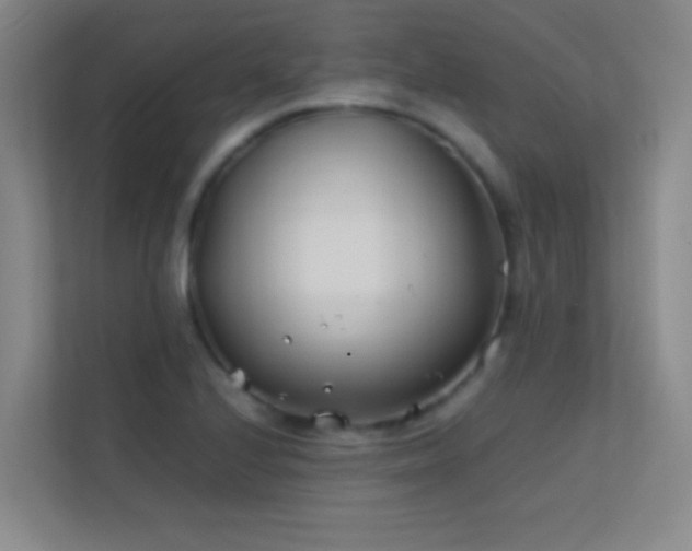 X0000113871224200909241325