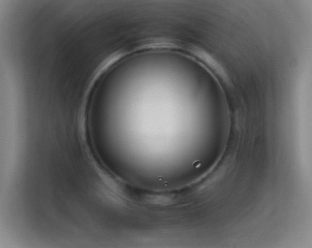 X0000113871229200909241325