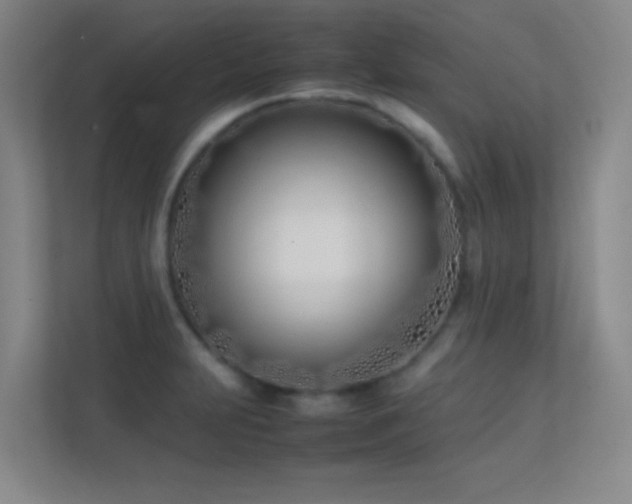 X0000113871231200909241325