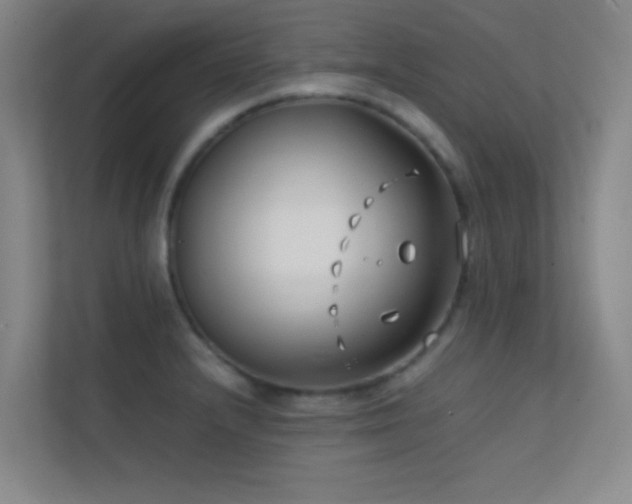 X0000113871232200909241325