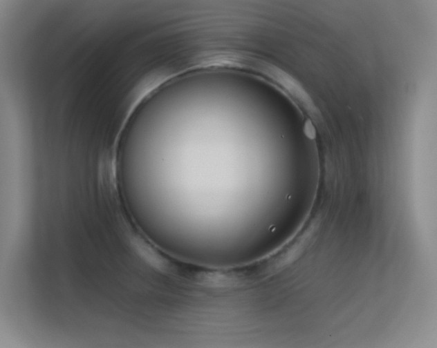 X0000113871234200909241325
