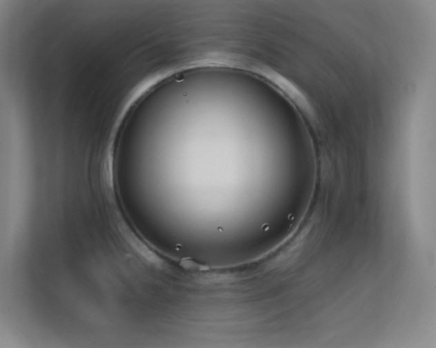 X0000113871238200909241326