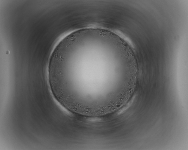 X0000113871239200909241326