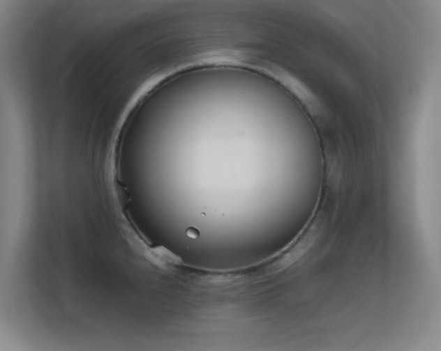X0000113871240200909241326