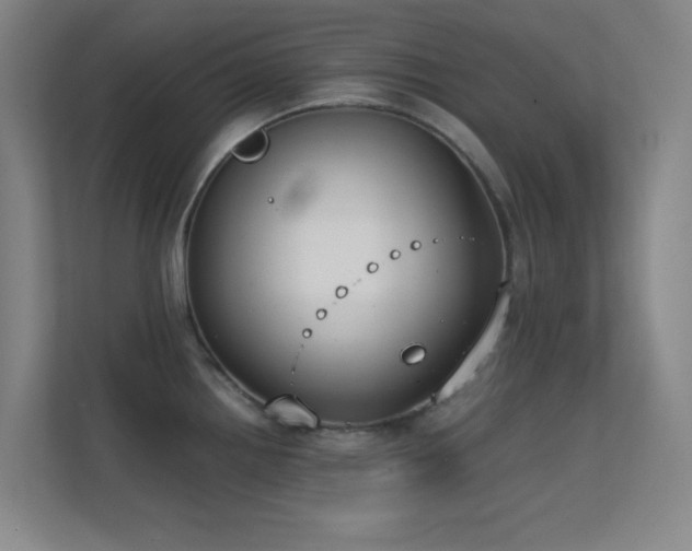 X0000113871242200909241326