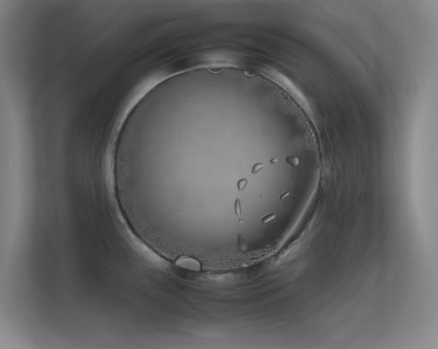 X0000113871243200909241326