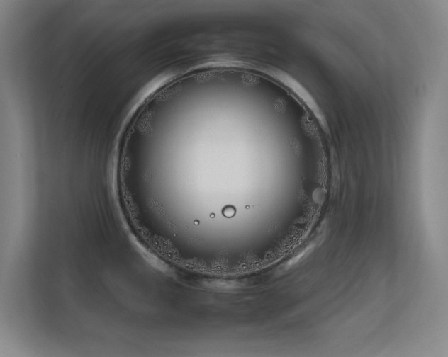 X0000113871245200909241326