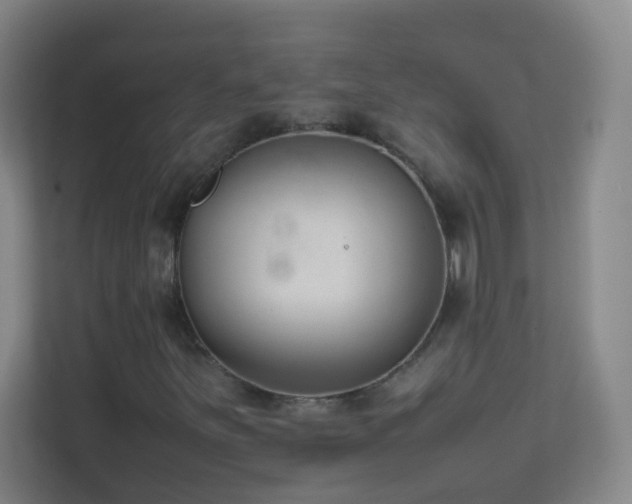X0000113871251200909241325