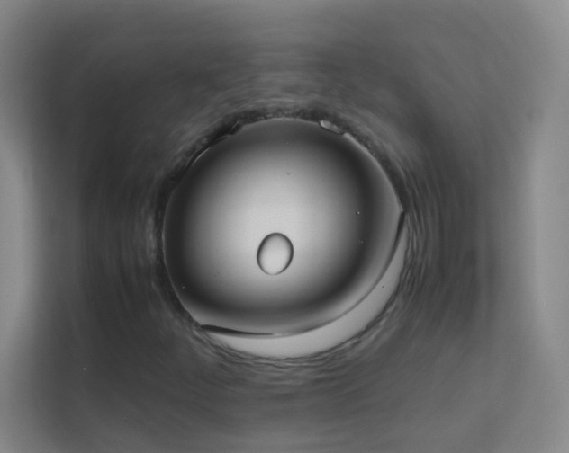 X0000113871252200909241325