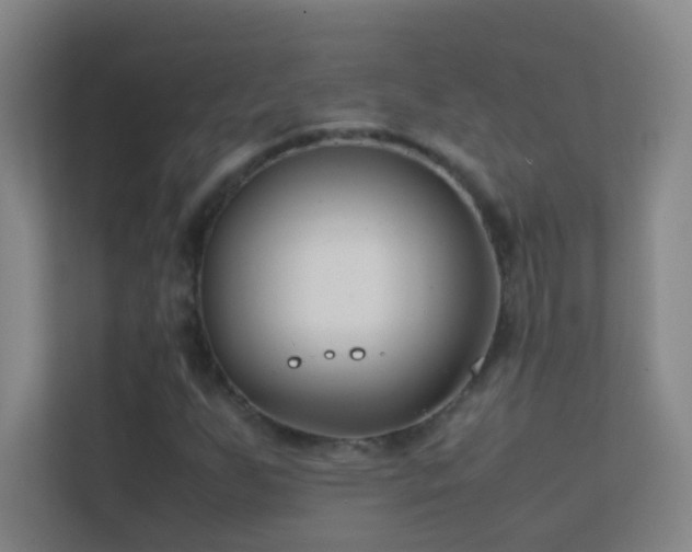 X0000113871255200909241325