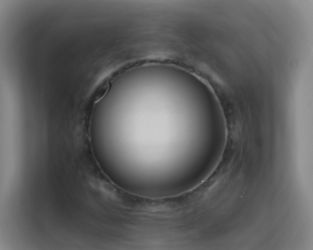 X0000113871256200909241325