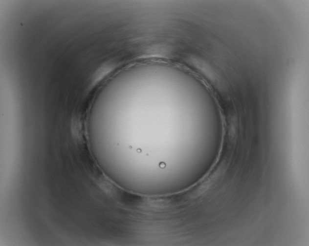 X0000113871258200909241325