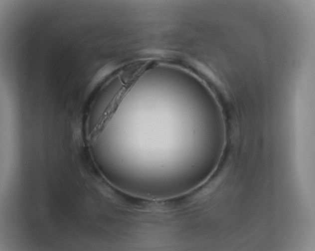 X0000113871259200909241325