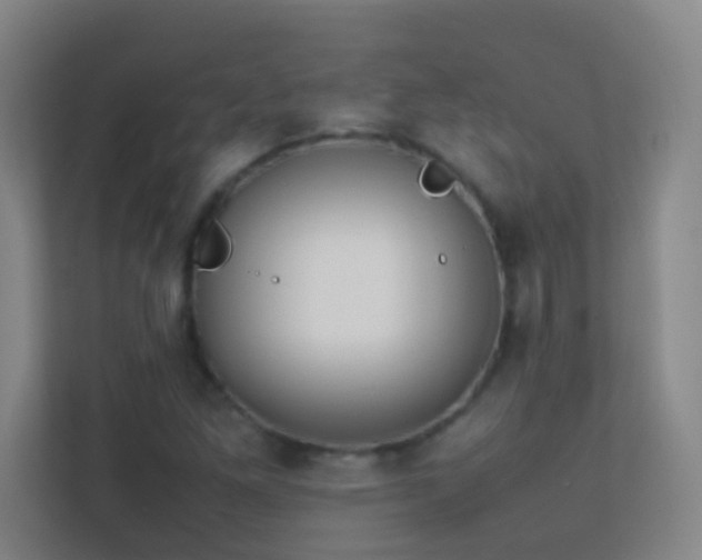 X0000113871261200909241325
