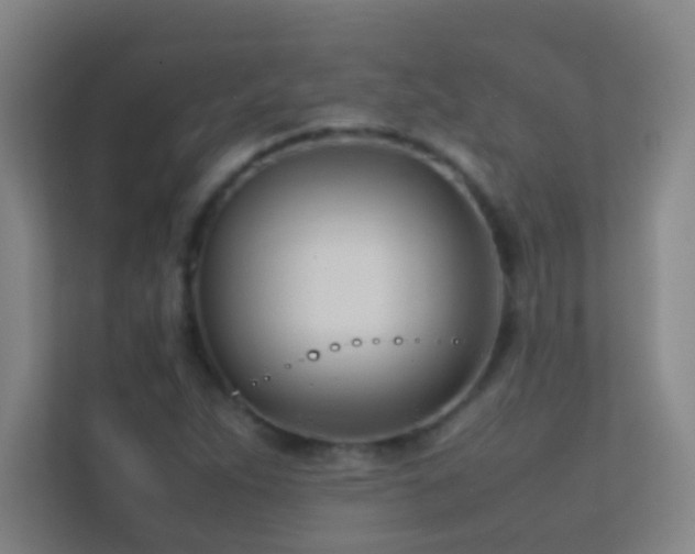X0000113871263200909241325