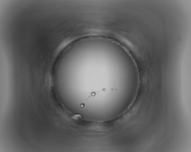 X0000113871267200909241325