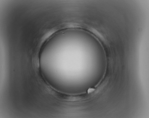 X0000113871269200909241325