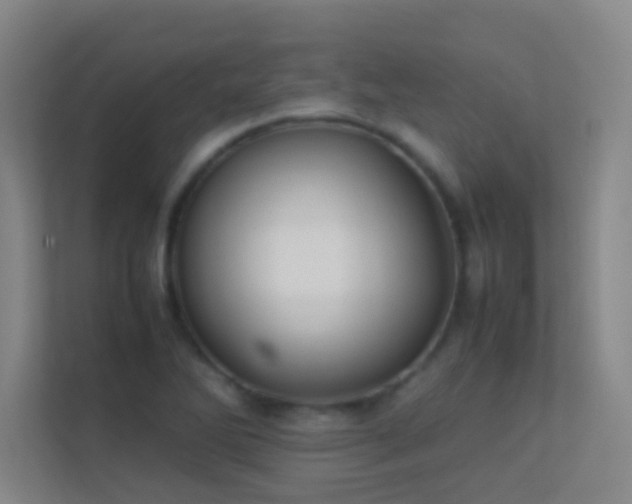 X0000113871270200909241325