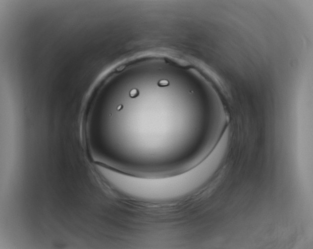 X0000113871272200909241325