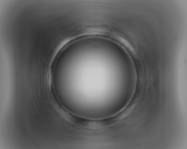 X0000113871275200909241325