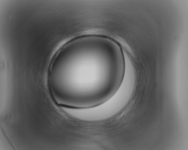 X0000113871277200909241325
