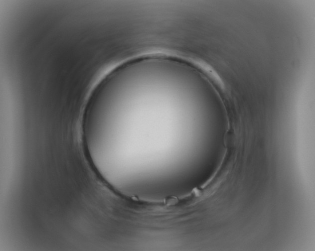 X0000113871279200909241325