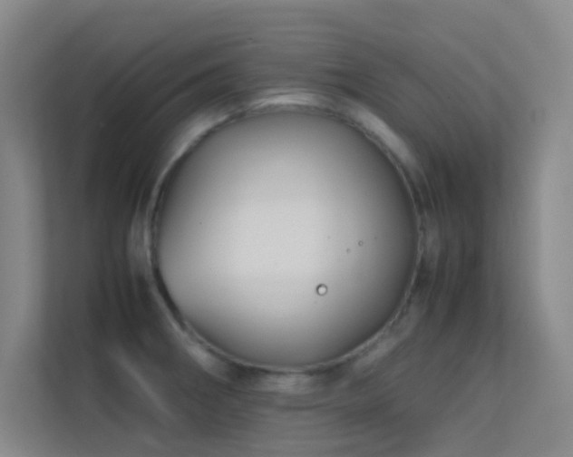 X0000113871282200909241325