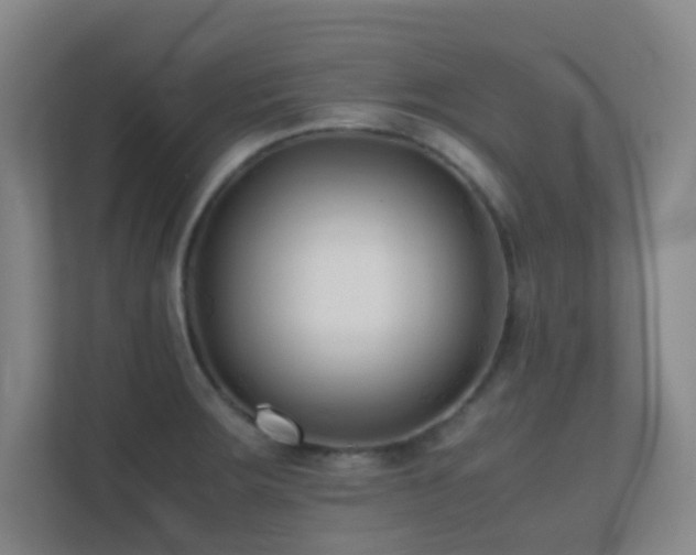 X0000113871283200909241325