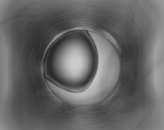 X0000113871284200909241325