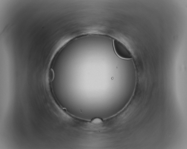 X0000113871285200909241325