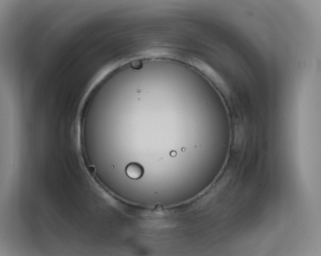 X0000113871286200909241325
