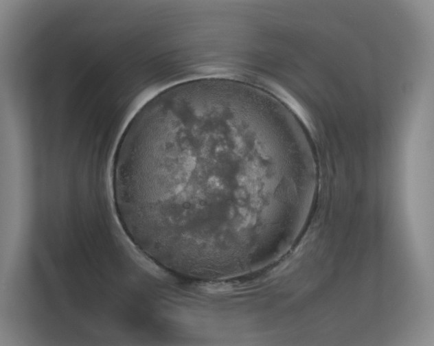 X0000113871291200909241324