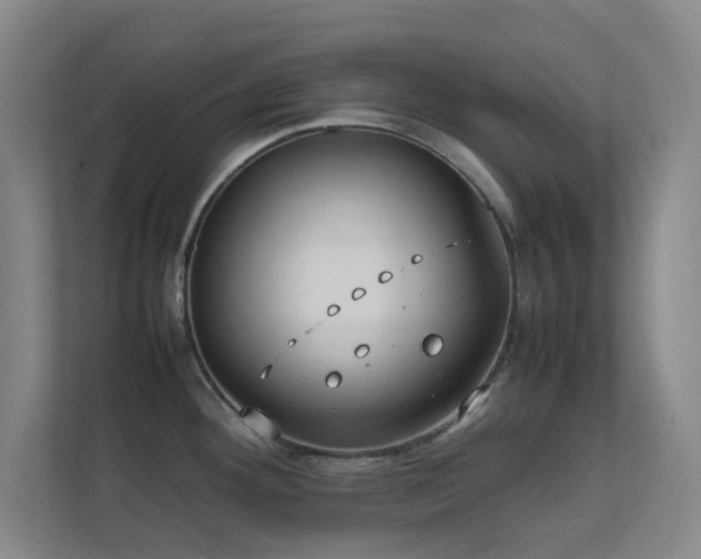 X0000113871292200909241324
