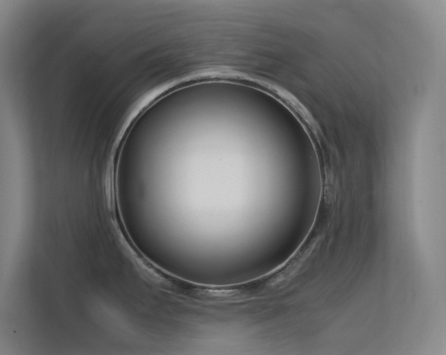X0000113871295200909241324