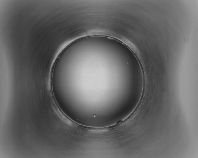 X0000113871296200909241324