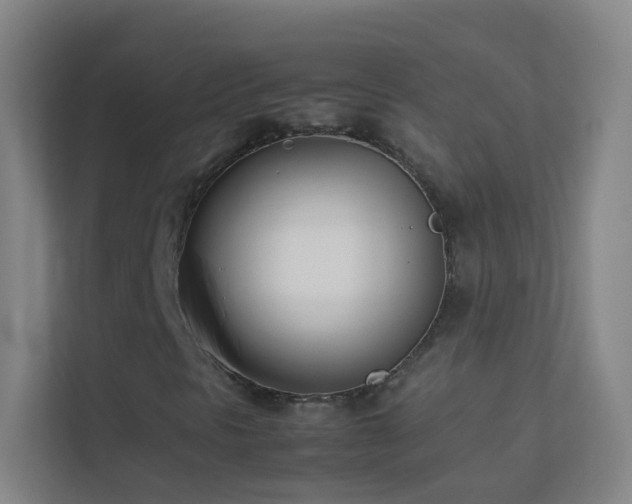 X0000113871297200909241324