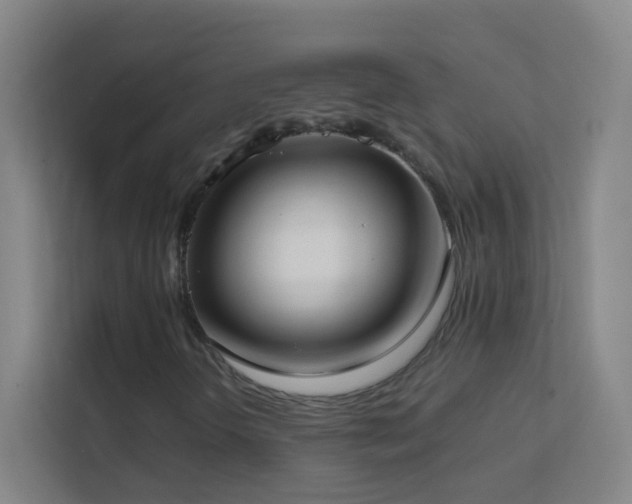 X0000113871298200909241324