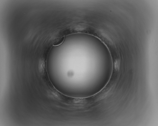 X0000113871299200909241324